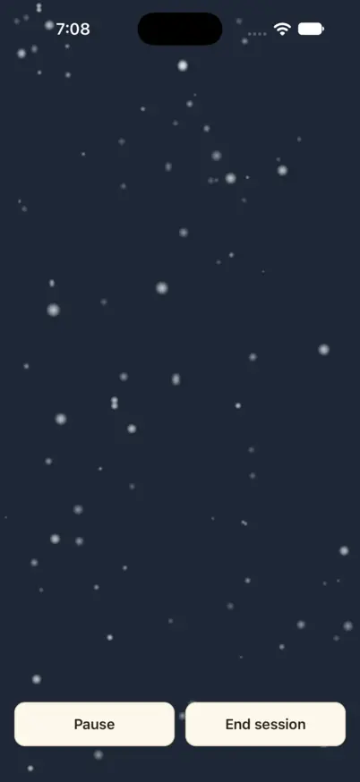 Snowfall